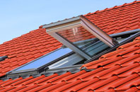 Gunthorpe roof window